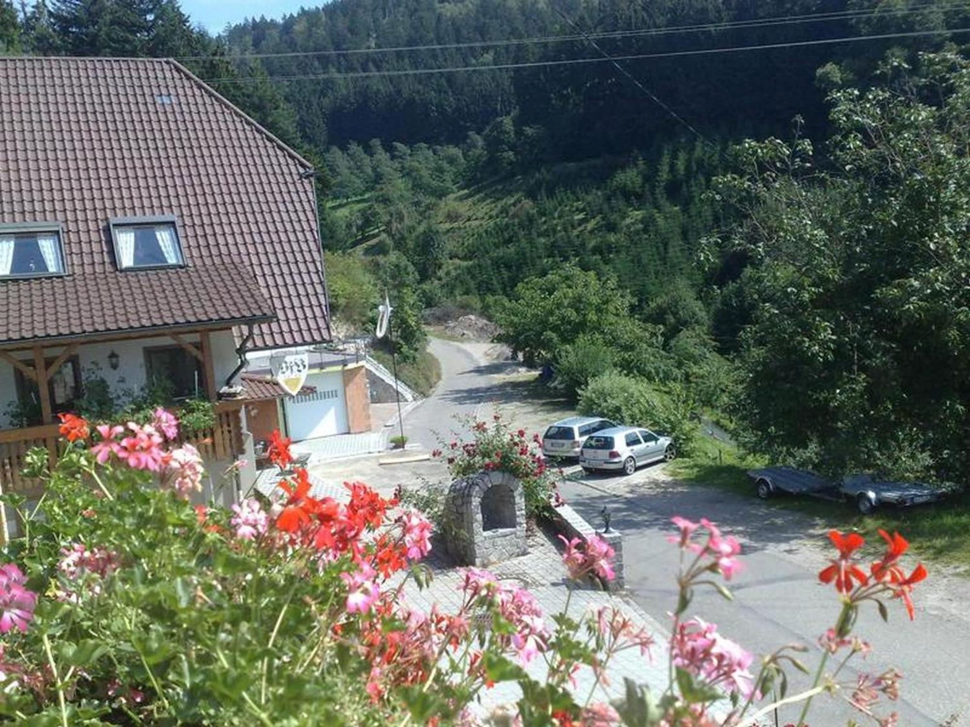 Ferienwohnung Schneckenhus Lautenbach Extérieur photo