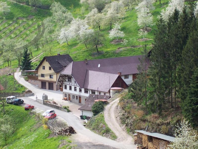Ferienwohnung Schneckenhus Lautenbach Extérieur photo
