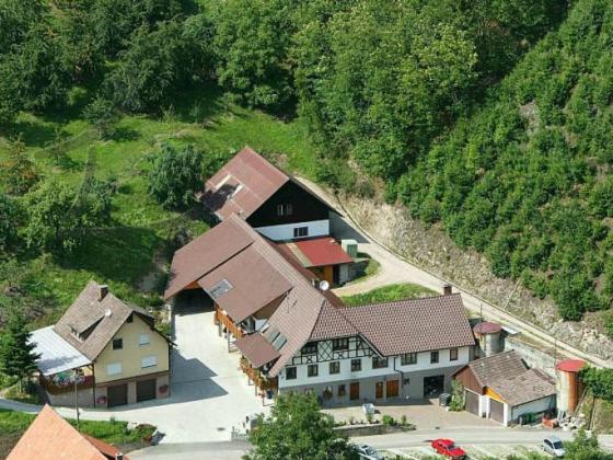 Ferienwohnung Schneckenhus Lautenbach Extérieur photo