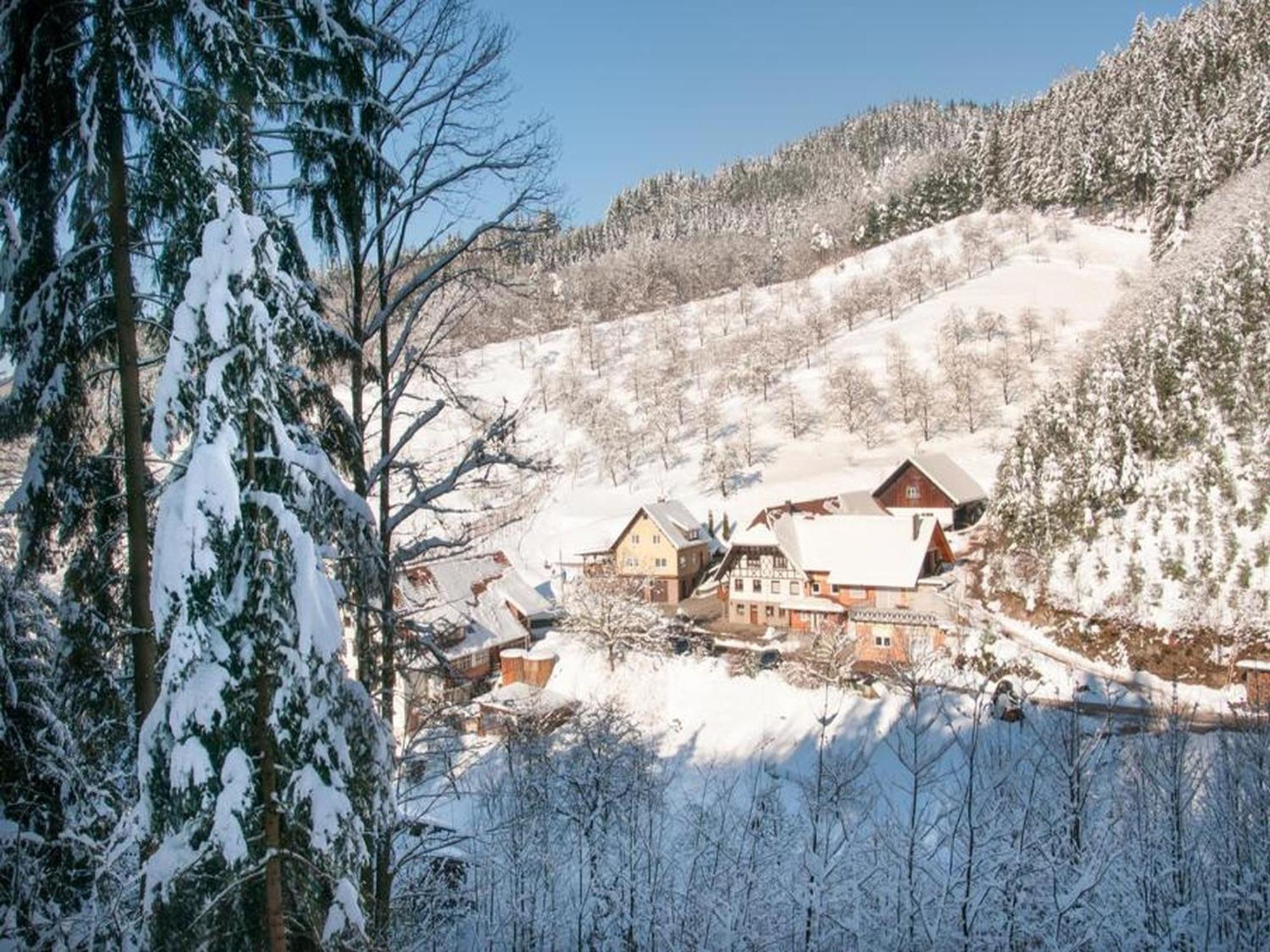 Ferienwohnung Schneckenhus Lautenbach Extérieur photo
